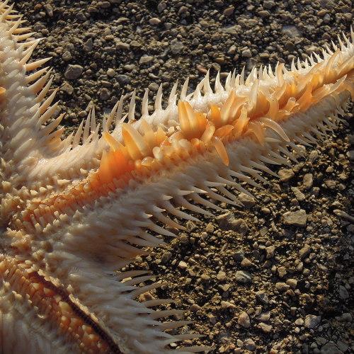Photo #3950233