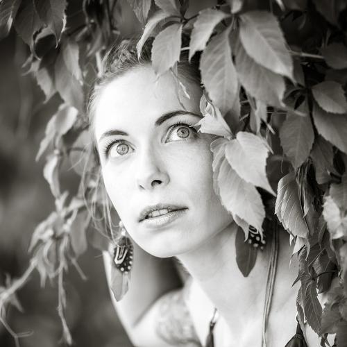 Photo #3950322