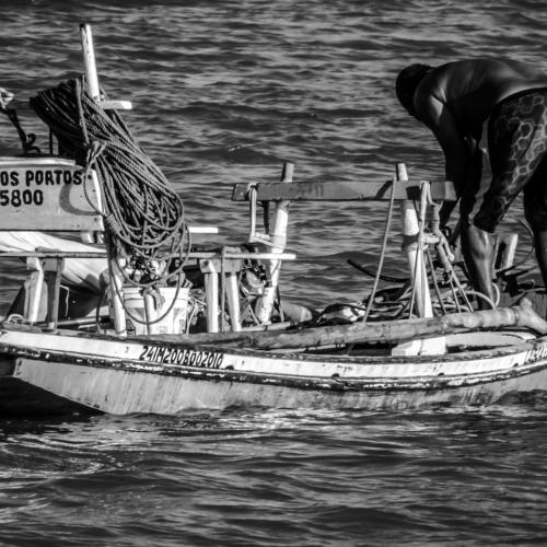 Photo #3950439