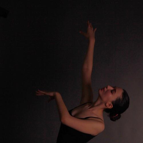 Photo #3950519