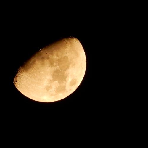 Photo #3950547