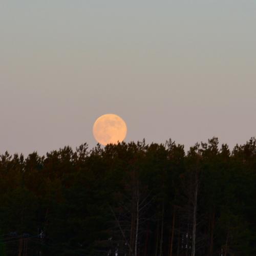 Photo #3950769