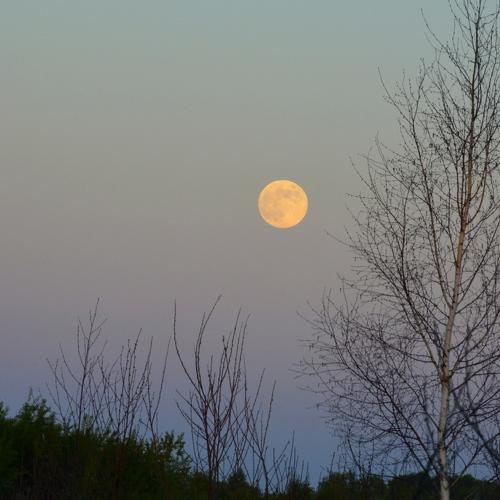 Photo #3950799