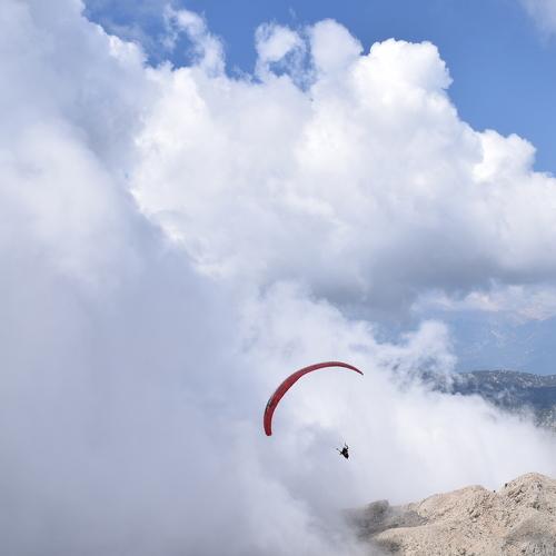 Photo #3951016