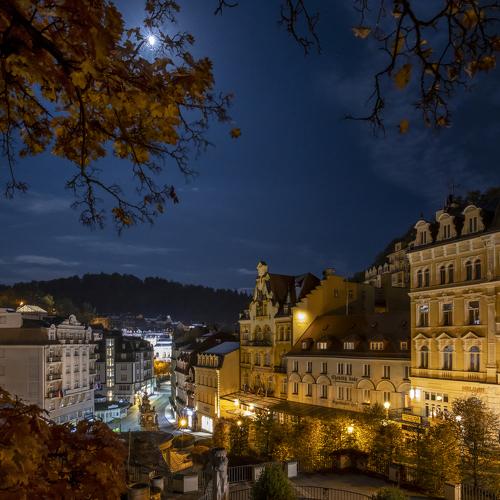 Photo #3951148