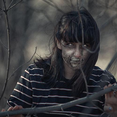 Photo #3951605
