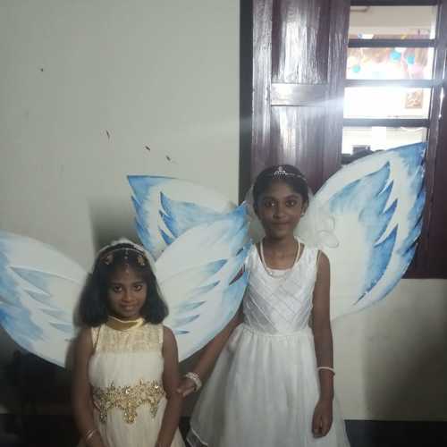 Photo #3951749