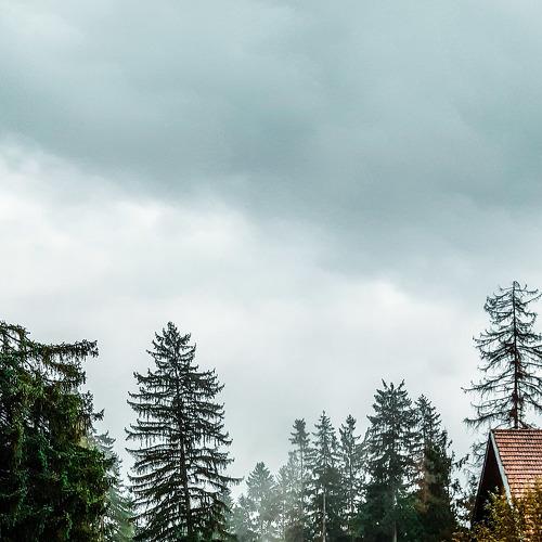 Photo #3952881