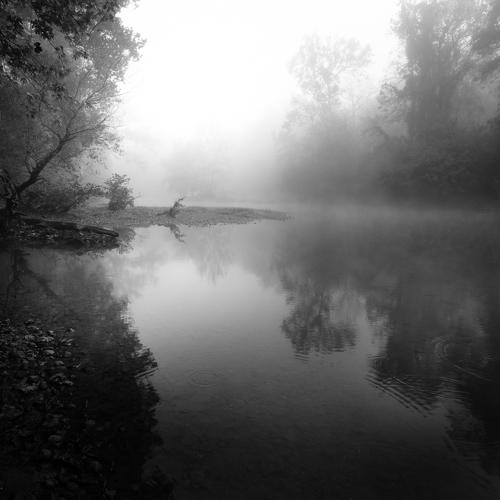 Photo #3952969