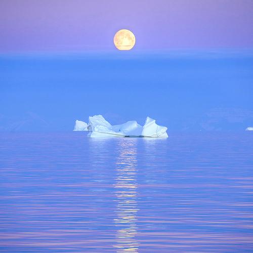 Photo #3953052