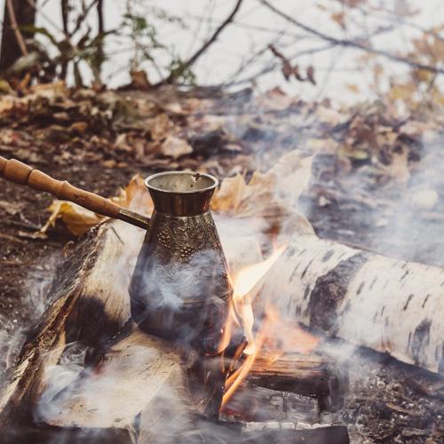 Photo #3953145