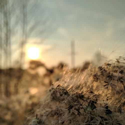 Photo #3953483