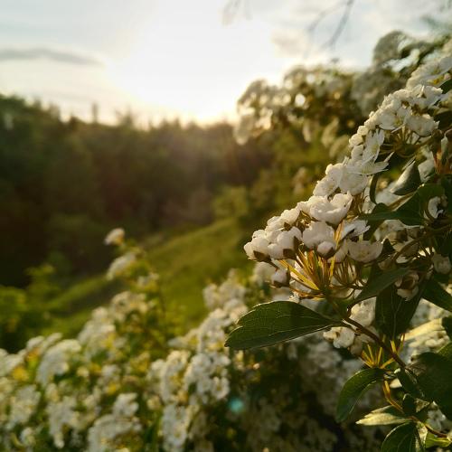 Photo #3953533