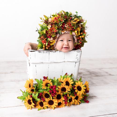 Photo #3953655