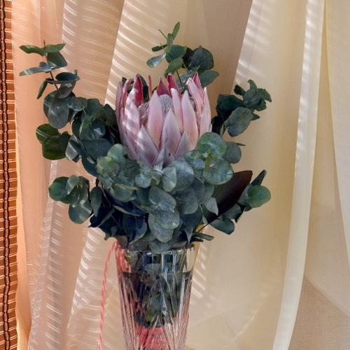 Photo #3954101