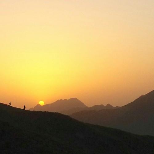 Photo #3954312