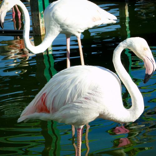 Photo #3954333
