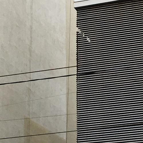 Photo #3954477