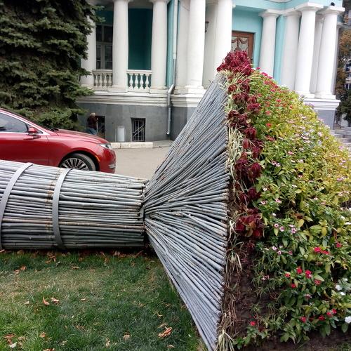 Photo #3954968
