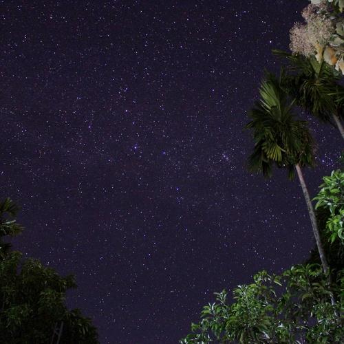 Photo #3955341