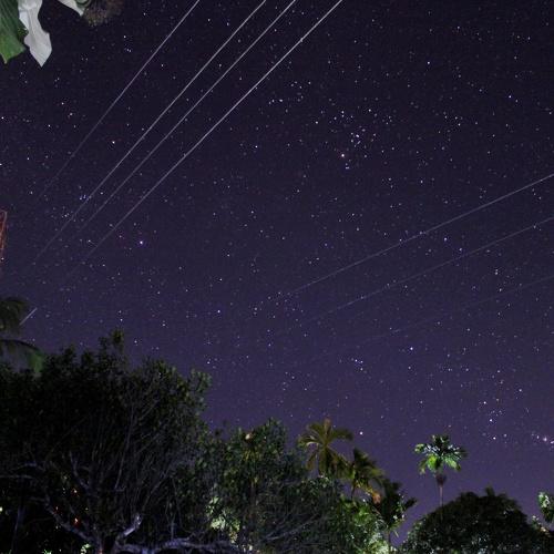 Photo #3955345