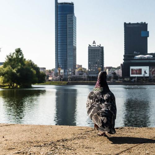 Photo #3955525