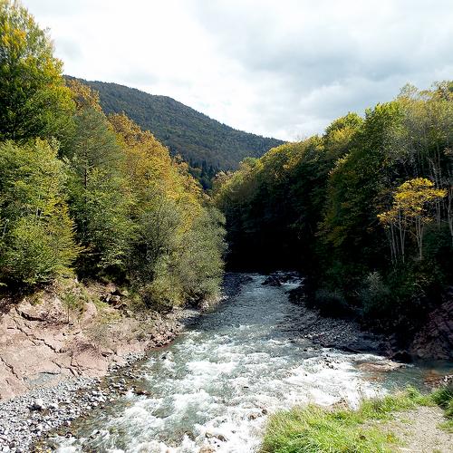 Photo #3956426