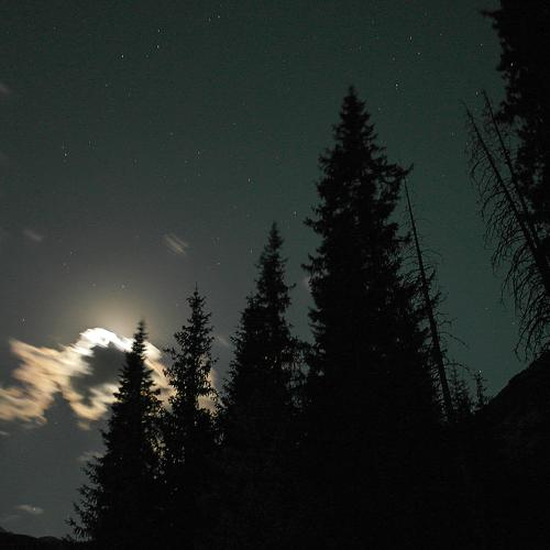 Photo #3956906