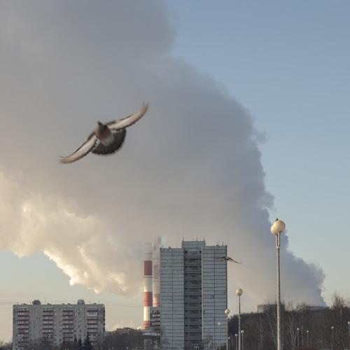 Moscow
