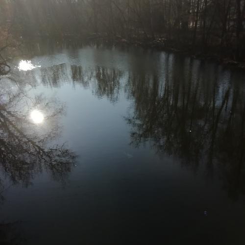 Photo #3957853
