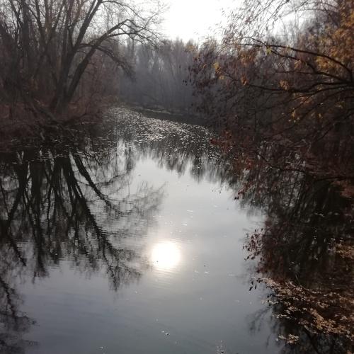 Photo #3957860
