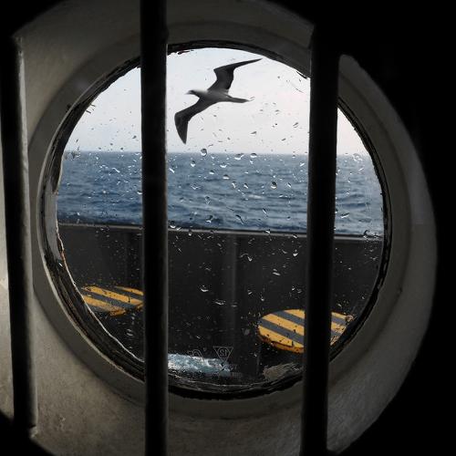 Photo #3958220