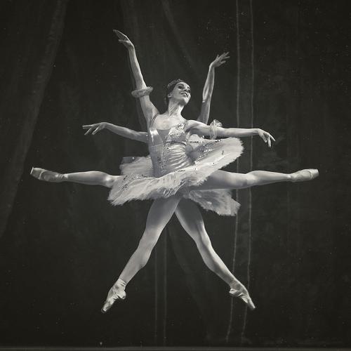 Photo #3958514