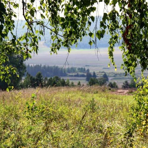 Photo #3959085