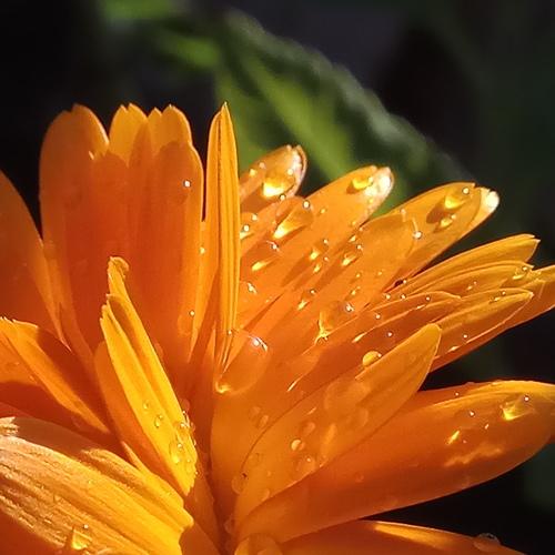 Photo #3959088