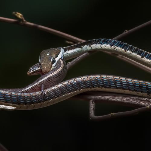Photo #3960052