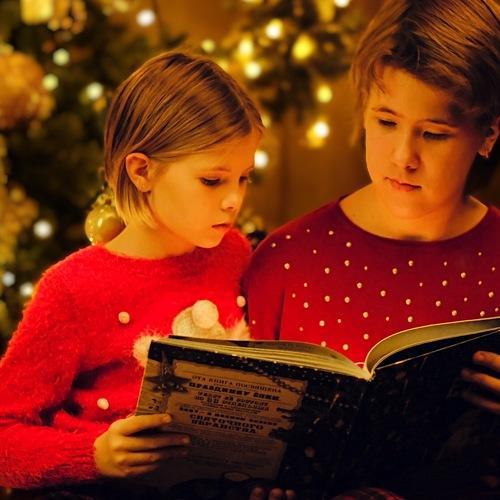 Photo #3960464