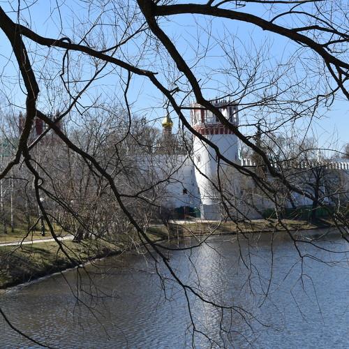 Photo #3961160
