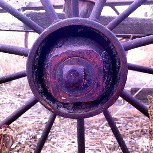 Photo #3961252