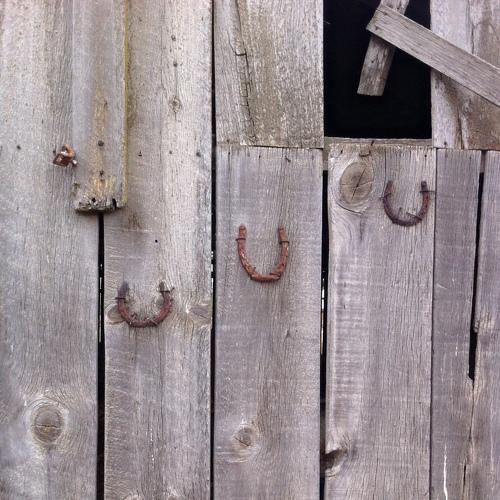 Photo #3961253