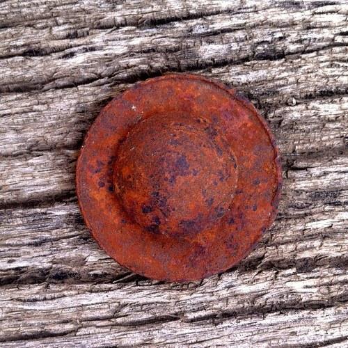 Photo #3961254