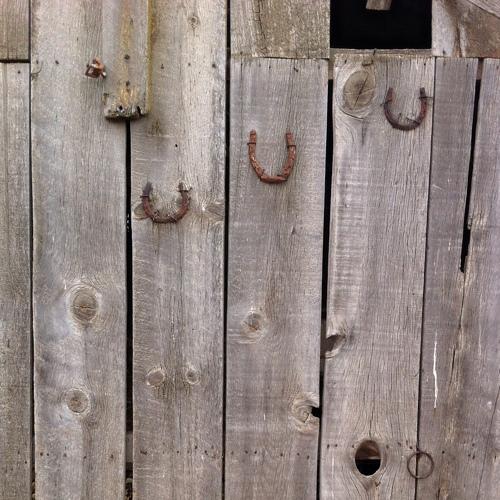 Photo #3961255