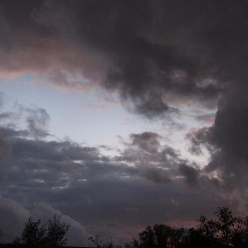 Photo #3961277