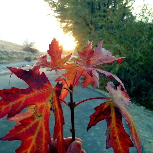 Photo #3961409