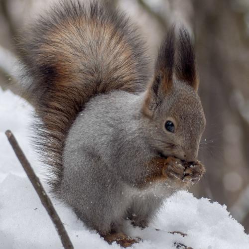 Photo #3961549