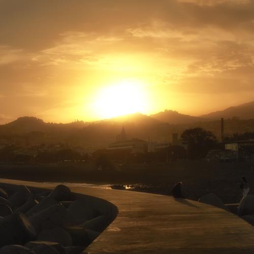 Photo #3962233