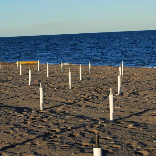 Photo #3962326