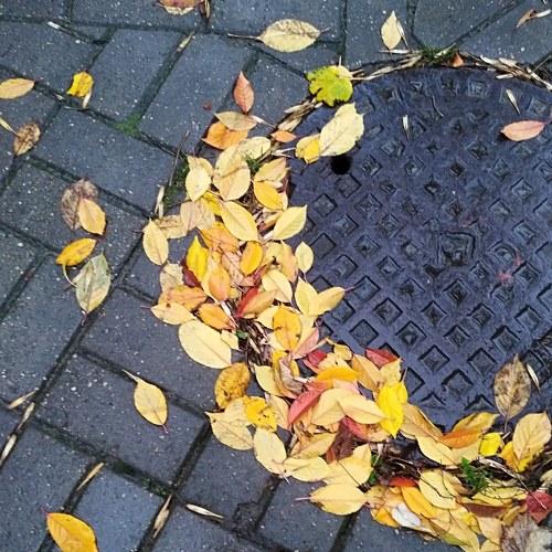 Photo #3962472