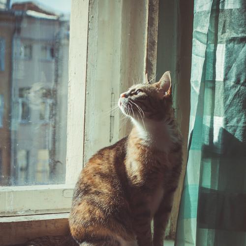 Photo #3962478