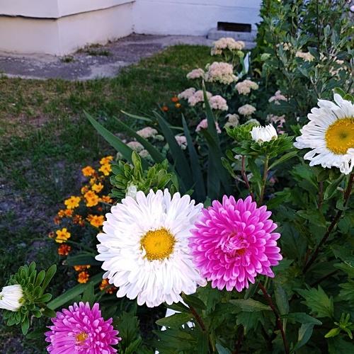 Photo #3962494